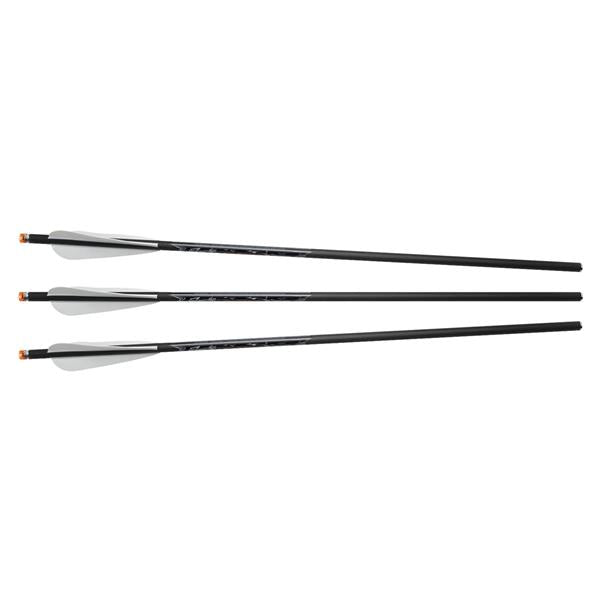 Flèches De Chasse Au Poisson En Acier Inox - Paquet De 6 - Pour Arbalète