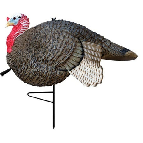 Primos Gobbstopper Turkey Decoy, young male turkey