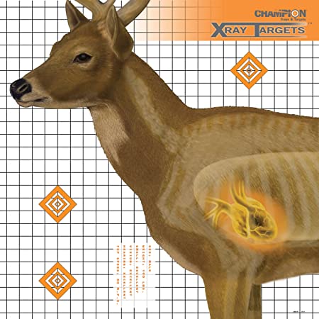 X-RAY TARGETS