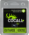 COCALL Carte de sons d’outarde
