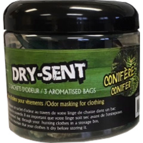 Dry Scent - Conifère